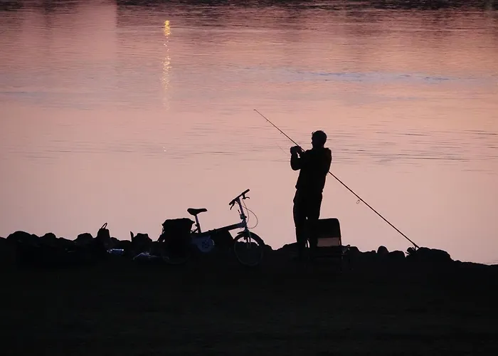 African Tree Apartment